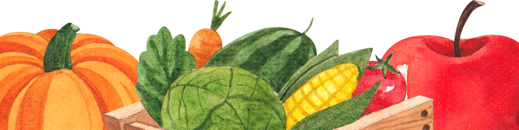 Vegetables and Fruits Border